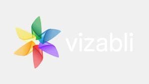 vizabli-logo-300-169